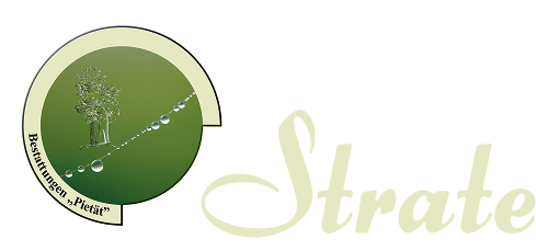 Strate Logo